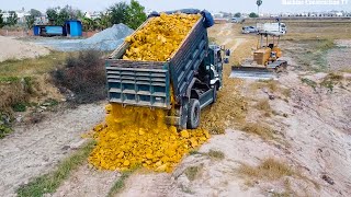 5T Trucks Unloading Soil Stone Build and Fix New Road with Powerful Bulldozer Pushing Soil Stone