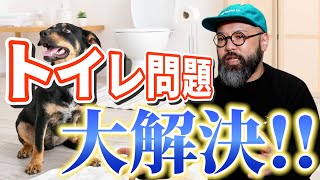 トイレを失敗するのにはちゃんと理由があります