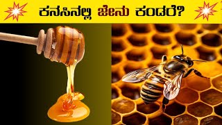 ಕನಸಿನಲ್ಲಿ ಜೇನು ಕಂಡರೆ?⚡kanasinalli jenu kandare?⚡honey dream meaning in kannada