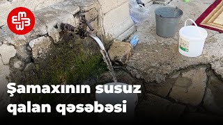 Şamaxının susuz qəsəbəsi: “su şordur, məcbur içirik”