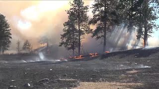 South Dakota Wildland Fire conducts prescribed burn at Custer State Park