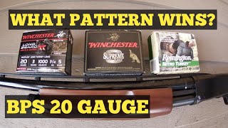 BPS 20 gauge best pattern for turkey hunting?