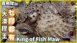 King of Fish Maw in Tai O Market Hong Kong【OH! Seafood】