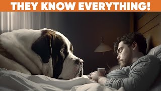 17 Surprising SECRETS Your Dog Knows About You (What Your Furry Friend Sees That You Don't)