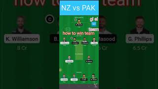 NZ vs PAK 8TH T20 MATCH GL SL FREE TEAM 4