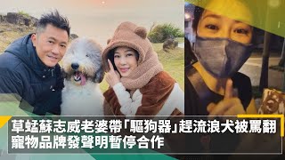 草蜢蘇志威老婆帶「驅狗器」趕流浪犬被罵翻　寵物品牌發聲明暫停合作｜鏡速報 #鏡新聞