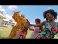 jadel calypso official music video