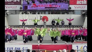 加古乃花舞　2018高知よさこい全国大会 中央公園会場