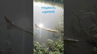 പുതിയ നടുഭാഗം ചുണ്ടൻ,,,,,, kerala,,, kuttanad,,, UBC👍👍👍