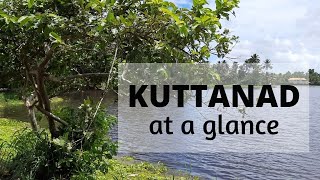 Kuttanad at a glance | The Greenery of God's own country |A Visit to Kuttanad Kerala India