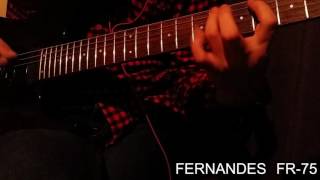 FERNANDES FR 75　DEMO