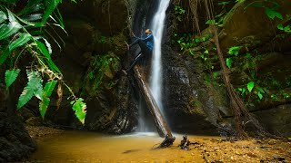 Outdoor Explorers - Scouting Trinidad's Forest