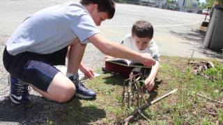 In Summer...LCS Summer Reading Video