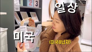 🇺🇸미국일상 | 드디어 이케아가서 득템한 날 with 인프피부부