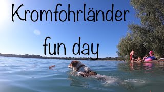 One day at the lake - Kromfohrländer Amy and Gin - HD