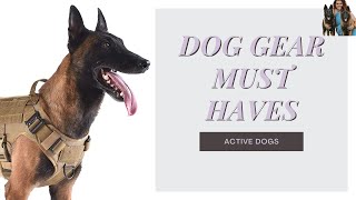 Dog gear essentials | What my dogs use on the regular!