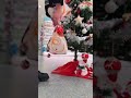 pentru cine vrea să ofere un cadou de secret santa ❤️🎁 dmromania iubescdm