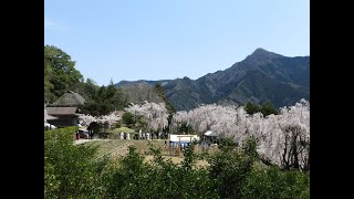 令和大嘗祭　麁服調進①（木屋平三木家）「播種祭」