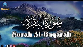 Surah baqarah |tilawat Quran pak| beautiful voice episode:07