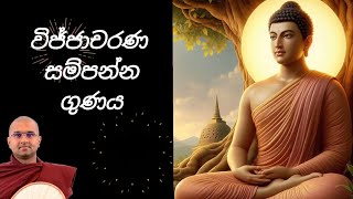 නව අරහාදී බුදු ගුණ - විජ්ජාචරණ සම්පන්න ගුණය