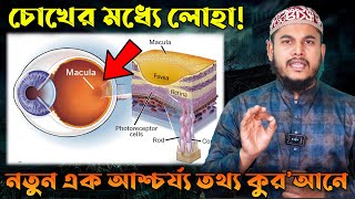 কুরআনে প্রযুক্তি - পর্বঃ ৬০ -চোখের ম্যাকুলা সম্পর্কে আশ্চর্য তথ্য পবিত্র কুরআনে । Beautiful Islam