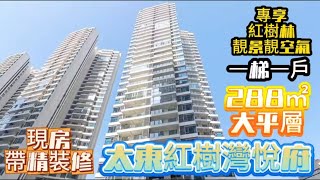 惠州大平层｜功能齐全超方便｜养老常住皆宜｜288 平大平層全景紅樹林森林公園｜臨深嘅理想之居 #港人置業 #大灣區樓盤 #惠州睇樓團 #惠州樓盤 #臨深樓盤 #港人退休 #惠州惠陽 #大亞灣 #地產