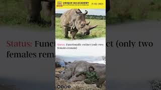 CA - 21.02.2025 - Save the northern white Rhino - Unique IAS Academy