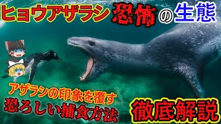 【ゆっくり解説】「ヒョウアザラシ」を徹底解説/アザラシの印象を覆す凶暴性！？その残酷過ぎる捕食方法に衝撃！