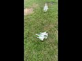 w500 垂直起降 遙控 飛機 三角翼 固定翼 飛行器 fpv 空拍載機 rtf vtol x450 m02 同款 4