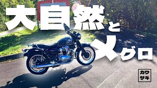 【メグロK3 / メグロS1】北海道の大自然と羊 | Japan Hokkaido Ride by Kawasaki MEGUROK3