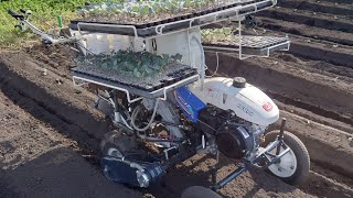 イセキ野菜移植機ナウエルナナPVH100  90EX