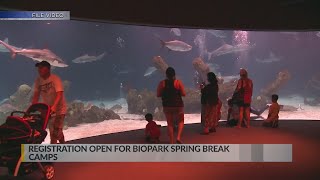 Registration opens for BioPark spring break camps