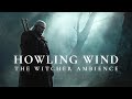 Howling Wind: The Witcher Ambience - Orchestral Ambient Music for deep Focus and Relaxation