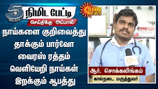 நாய்களை குறிவைத்து தாக்கும் பார்வோ வைரஸ்; ரத்தம் வெளியேறி நாய்கள் இறக்கும் ஆபத்து - ஆர்.சொக்கலிங்கம்