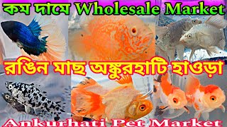 অংকুরহাটি পশুপাখির হাট 🐟🐟 Ankurhati Fish Pet Market | Ankurhati Market Howrah