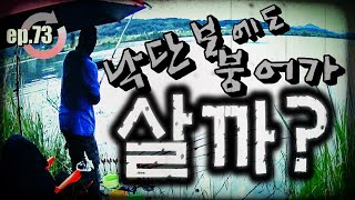 [ep.73] 낙동강 낙단보의 가을 붕어를 찾아서...