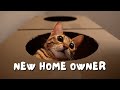 Bengal cat becomes a homeowner with cardboard cat house tower playground | Ep 14