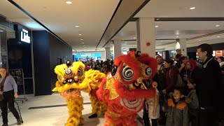 Quebec City Lion Dance Chinese New Year 2024