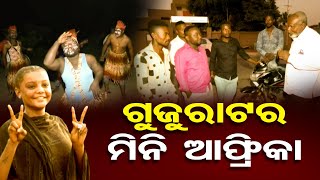 ଗୁଜରାଟର ମିନି ଆଫ୍ରିକା  | Odisha Reporter