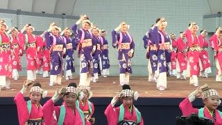 ほにや 原宿表参道元氣祭 スーパーよさこい2016