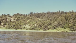 River Day at Tooby Park in Garberville - May 2020