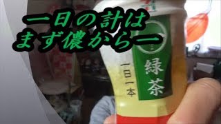 セブンプレミアム　一緑茶を飲んでみた 毎朝一本飲みたくなります！！