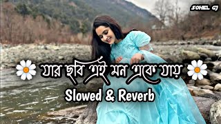 Jar Chobi Ei Mon Eke Jai | Slowed & Reverb | Sonu Nigam | Premi | Bangla Romantic Lofi Song