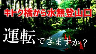 【井原山】水無登山口まで林道ドライブ動画【オオキツネノカミソリ】