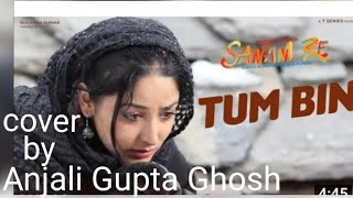 Tum Bin ll Singer Shreya Ghoshal ll  Movie Sanam Re llJeet Ganguli ll Cover by Anjali Gupta Ghosh