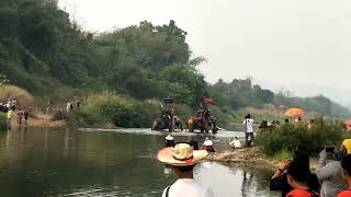 7. เมษายน 2566. ช้างลงแม่น้ำยม-แห่ช้างบวชนาคชาวไทยพวนบ้านหาดเสี้ยว