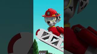 A Katie lidera a Patrulha Pata para deter os gatinhos que ladram! - #PAWPatrol Patrulha Pata #Shorts