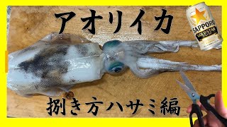 【アオリイカ】エギングで釣ってハサミで捌いてビール　鹿児島　釣り