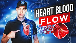 EMT School: Heart Blood Flow | NREMT Review 🚑
