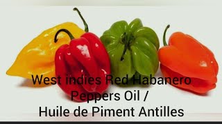 Homemade Chilli oil | West indies Red Habanero Peppers Oil | Cooking tips| Trendy Blossoms